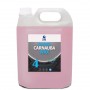 Polish Carnauba Shine Wax